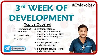 Embryology  3rd week of Development  Part  2 [upl. by Suellen]