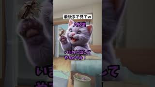 血液型あるある 猫のいる暮らし 血液型診断 ねこ 例え 動物 [upl. by Caz]