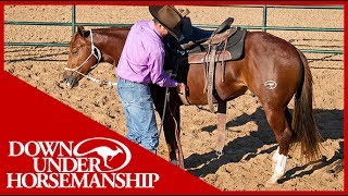 Clinton Anderson An Overview of Starting a Colt  Downunder Horsemanship [upl. by Aara]