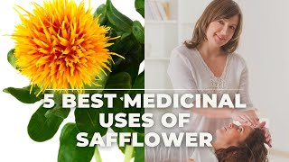 5 Best Medicinal Uses of Safflower [upl. by Haddad]