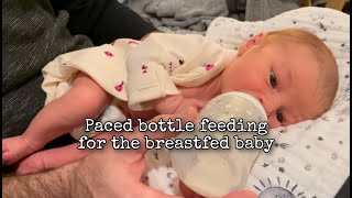 Paced bottle feeding for the breast fed baby [upl. by Ailec]