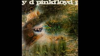 Pink Floyd  Corporal Clegg [upl. by Andrew]