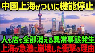 【海外の反応】上海経済がなぜ急に衰退したのか？中国最大の商業都市から人が消えた理由とは [upl. by Eigna]