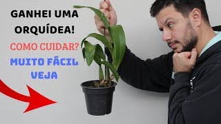 COMO CUIDAR DA ORQUÍDEA QUE GANHEI [upl. by Austin]