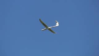 Multiplex Heron Segler 2400mm Maiden Flight by Captain Deji [upl. by Proudfoot811]