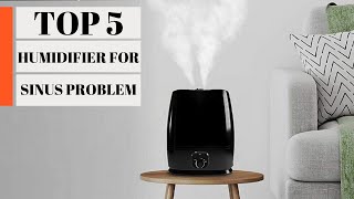 TOP 5 Best Humidifier for Sinus Problems 2023 [upl. by Therron179]