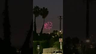 4th of July Fireworks behind a row of palm trees in Los Angeles [upl. by Lancey206]