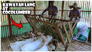 DIY  Pano Gumawa ng Feeder Para sa Kambing [upl. by Lepine442]