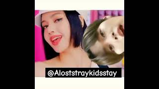 Blackpink ice cream ft leeknow 😭leeknowstraykids leeknowicecream leeknowstan fypage [upl. by Reiner]