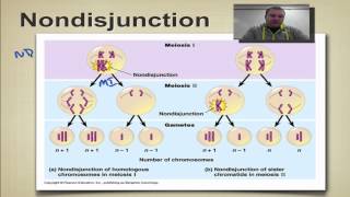 Chapter 14 Part 10  Nondisjunction [upl. by Naylor]