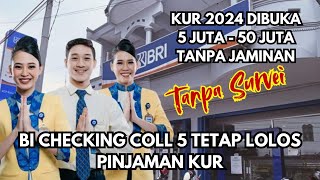 TANPA SURVEI KUR BRI 20242025 DIBUKA KEMBALI  BI CHECKING COLL BISA DICAIRKAN 5 JUTA  50 JUTA [upl. by Ellis270]