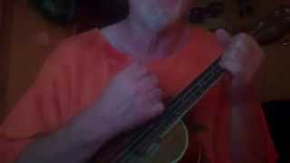 Oscar Schmidt OU5 Concert Ukulele ReviewDemo [upl. by Vonnie]