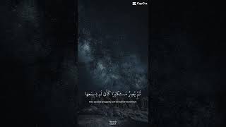 Quran  Yasser Al Dossari  قرآن  ياسر الدوسري bestquranrecitation holyquran yasseraldossari [upl. by Nadine]