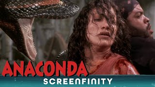 Most Dramatic Moments  Anaconda 1997  Screenfinity [upl. by Oelc]