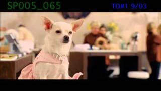 Beverly Hills Chihuahua Animation Clip [upl. by Pryor]