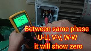 How to Perform Megger Test of a 3 phase induction motor  Electrical Rohit [upl. by Faludi391]