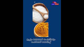 കടച്ചക്കവരട്ടിയത് [upl. by Revkah]