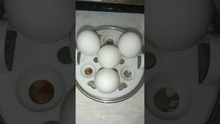 viral 😋dinner recipe egg recipe🥚 tranding viralvideo youtubeshorts [upl. by Nayab95]