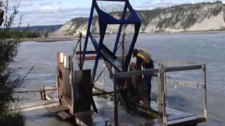 Chitina Fish Wheel [upl. by Sherye473]