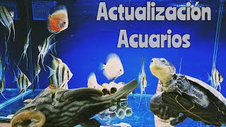 ACTUALIZACIÓN ACUARIOS TODOS MIS ACUARIOS [upl. by Nahtanha]