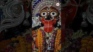 Jay Maa Kamarupa Kamarupa kalimaa kalipuja kalimata [upl. by Sidonia]