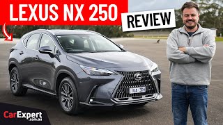 2024 Lexus NX inc 0100 braking amp autonomy review [upl. by Arrim598]