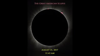 Best emotional reactions to the Great American Eclipse videos samples [upl. by Jacquette353]