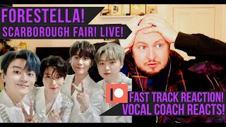 Vocal Coach Reacts Forestella Scarborough Fair Live [upl. by Etteval]