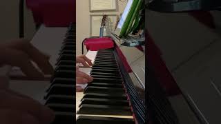 Without You  Avicii Piano Cover avicii piano pianocover [upl. by Leonard]