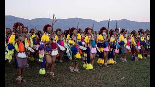 Rhythms of Tradition Experiencing Eswatinis Umhlanga Reed Dance [upl. by Nappie]