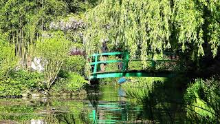 Monets Water Lilies at Musee lOrangerie [upl. by Sebbie789]