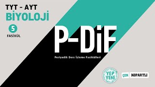 2020 Puan PDİF TYT  AYT Biyoloji  5 Fasikül  01Hücre Bölünmesinin Nedenleri  Bölünebilme [upl. by Aronid]