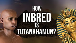 How Inbred was Tutankhamun [upl. by Nylodnewg614]