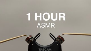 ASMR 1 Hour of Tascam Eardrum Tapping and Scratching with Wooden Ear Pick [upl. by Ulrica]