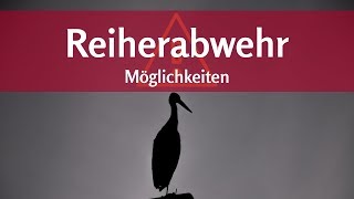 Was tun gegen Reiher am Teich Maßnahmen zum Schutz vorm Fischreiher [upl. by Icnarf]