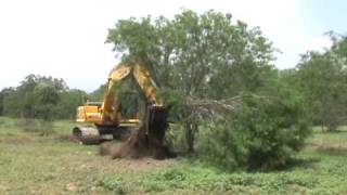 Video of larger Mesquite Grubbing [upl. by Tijnar951]