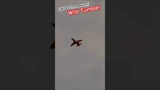 FMS 90mm Avanti Wild Tumble new aviation amazing [upl. by Orfield]