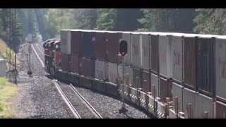 Double Meet with Stack Trains and Vehicle Trains on BNSFs Kootenai River Sub [upl. by Acemaj960]