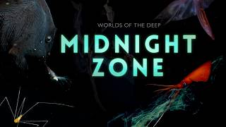 Into the Midnight Zone Secrets of the Ocean Void [upl. by Gahan]