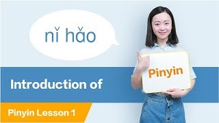 Introduction to Pinyin All about Chinese Pinyin  Chinese Pinyin Lesson 1 [upl. by Aicined]