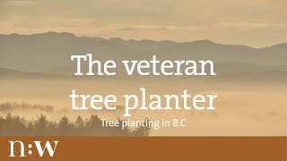 The Veteran Tree Planter  Tree Planting in BC [upl. by Kezer]