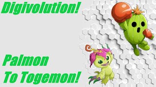 Digivolution Palmon digivolve to Togemon [upl. by Ivana100]