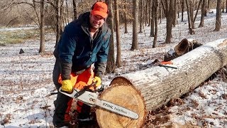 Stihl Chainsaw MS 271 Farm Boss Cutting 26 inch Tree with 18 inch bar [upl. by Sanborn437]