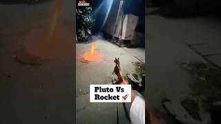 pluto Ki Traf Se Happy Diwali 🚀  minivlog diwali doglover [upl. by Nomrac175]