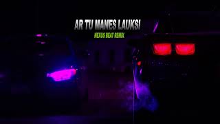 AR TU MANĘS LAUKSI Nexus Beat remix [upl. by Tenej71]