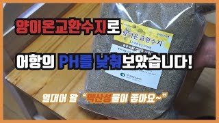 양이온교환수지로 어항 ph 낮추기 약산성의 물을 만들어보자 [upl. by Groscr172]