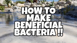 How to MAKE BENEFICIAL BACTERIA  How to tips [upl. by Jonis]