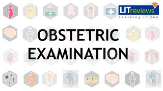 Obstetric Examination [upl. by Ward]