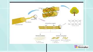 Nanocellulose as a Reinforcement Nanofiller in Epoxidized Natural Rubber Foam [upl. by Tiedeman]