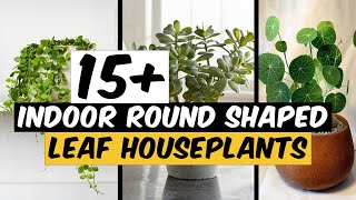 15 Indoor Round Shaped Leaf Houseplants  The Planet of Greens [upl. by Rance390]